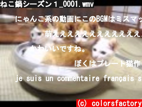 ねこ鍋シーズン１_0001.wmv  (c) colorsfactory